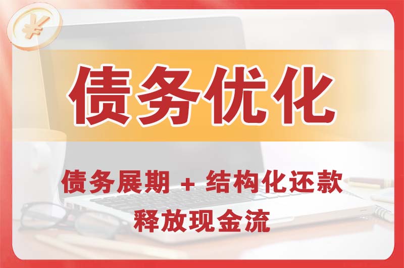 遂溪债务优化